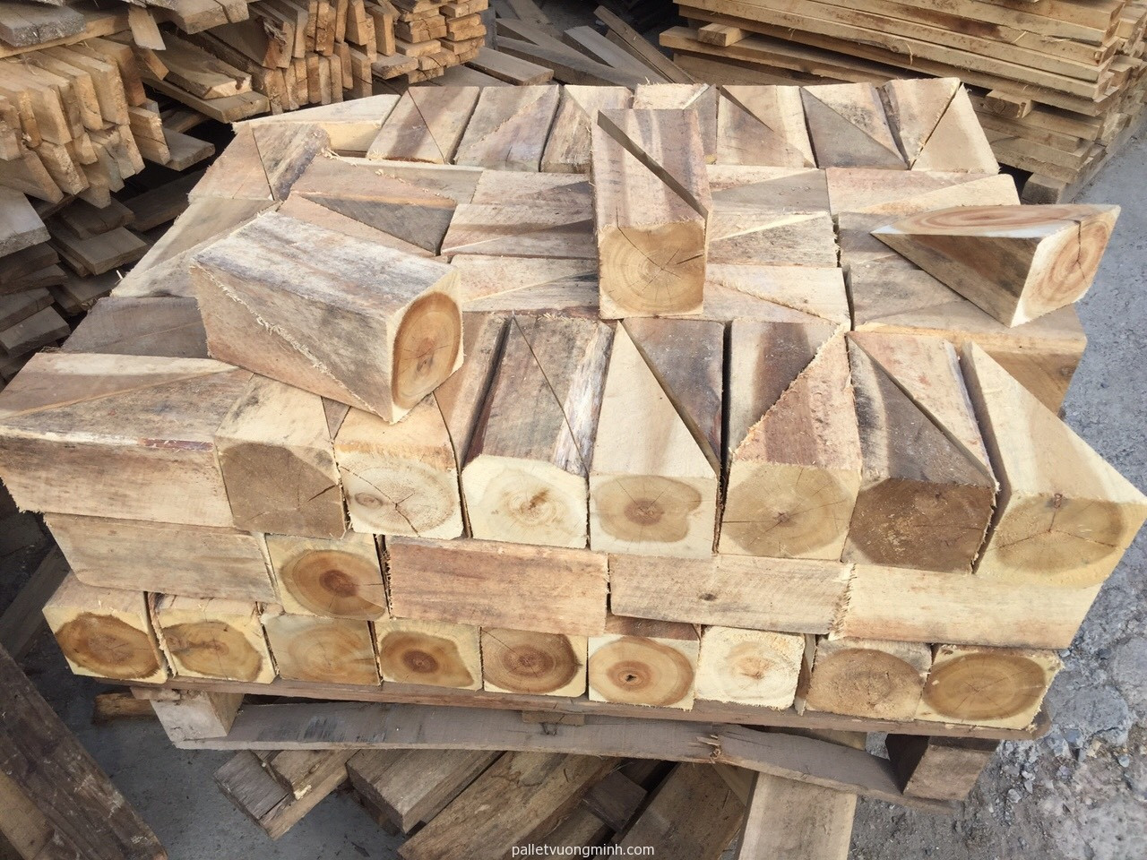 hun trùng gỗ kê chèn lót hàng hóa